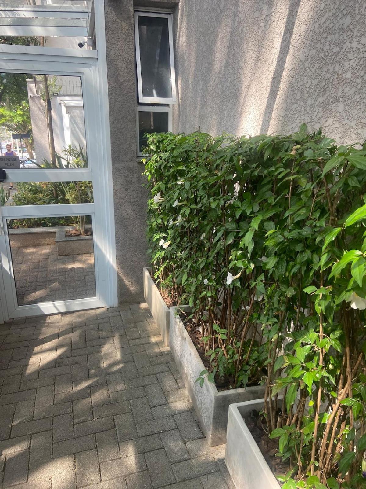 Paulista Apartamento São Paulo